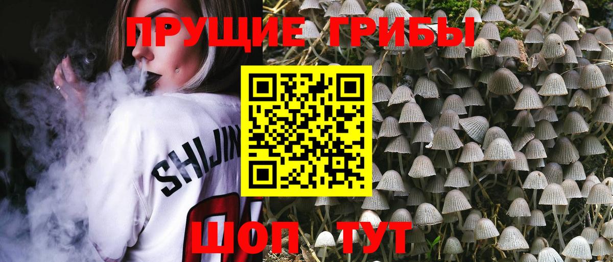 Галлюциногенные грибы Magic Shrooms  Вход с VPN  Псилоцибиновые грибы мицелий  Горячий Ключ 