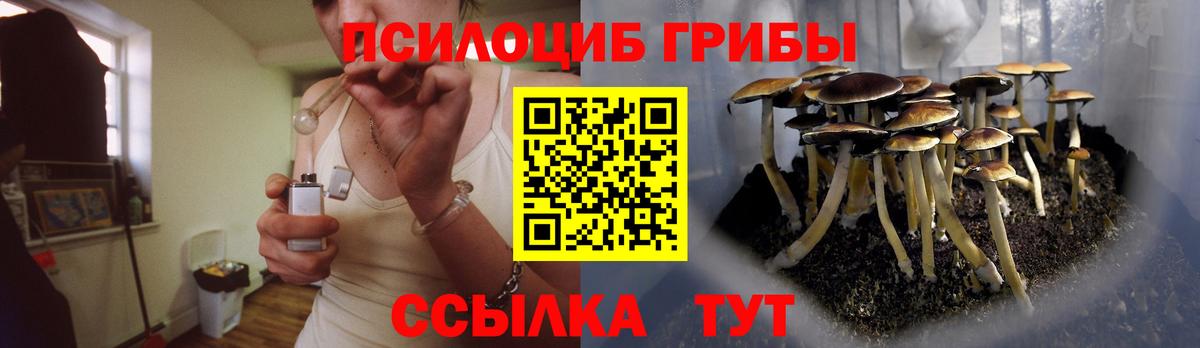 Галлюциногенные грибы Cubensis Горячий Ключ